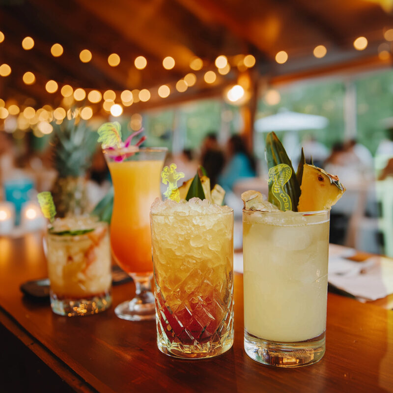 How to Build a Signature Tiki Cocktail Menu for Your Event. Personalized Drink Stirrers. Custom Drink Swizzles.